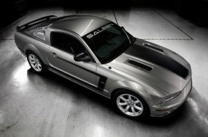 Ford Mustang H302 2008 года